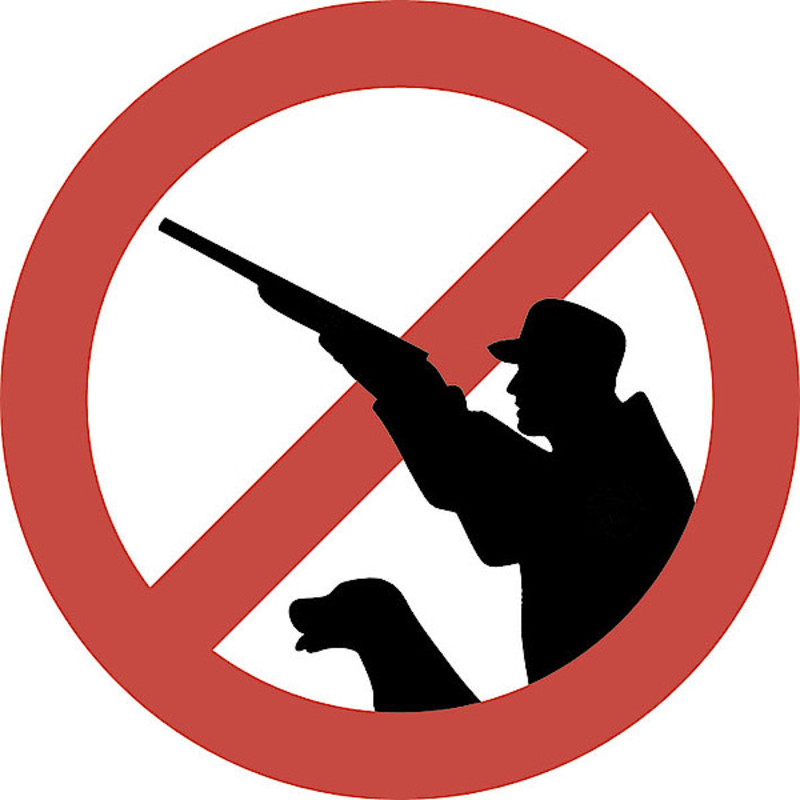 Запрет охоты 2024. Знак охота запрещена. Запрет на охоту. Табличка охота запрещена.