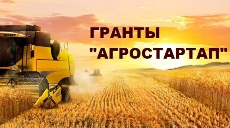 Гранты агростартап марки китайских минитракторов